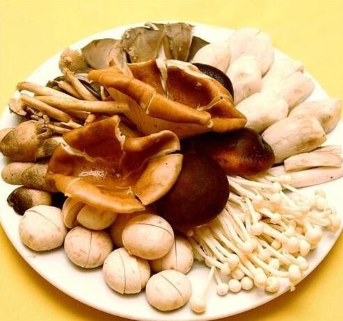 福州市鲵泰生物科技有限公司 福州市鲵泰生物科技有限公司